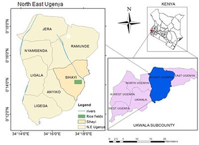 Assessment of Greenhouse Gases Emission in Smallholder Rice Paddies Converted From Anyiko Wetland, Kenya